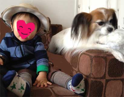 20130402.jpg