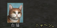 2013012810.jpg