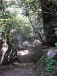 愛宕山下山と月輪寺04