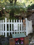 愛宕山下山と月輪寺17
