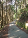 愛宕山下山と月輪寺29