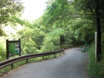 愛宕山下山と月輪寺32