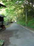愛宕山下山と月輪寺34