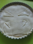 パンプキンパイ14