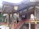 日吉・東本宮-樹下神社02