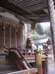 日吉・東本宮-樹下神社08