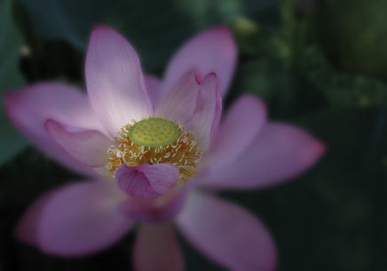 ちょっと幻想的に