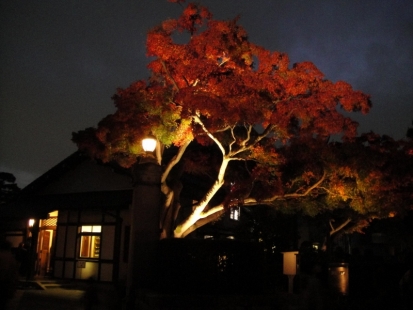 紅葉と建物