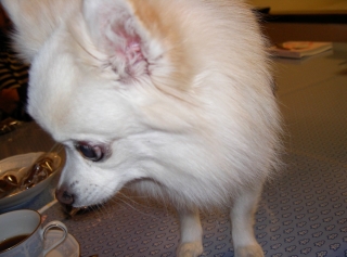 PICT3491.jpg