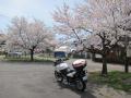 20120429akatan1396.jpg