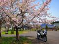 20120429akatan1400.jpg
