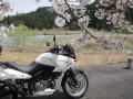 20120429akatan1408.jpg