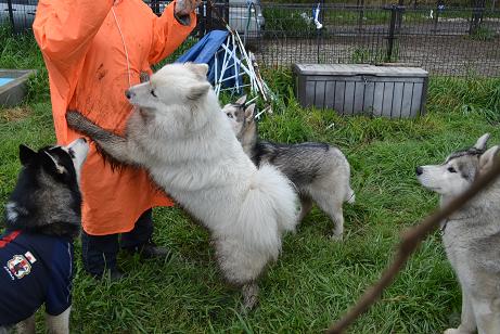 DSC_0701.jpg