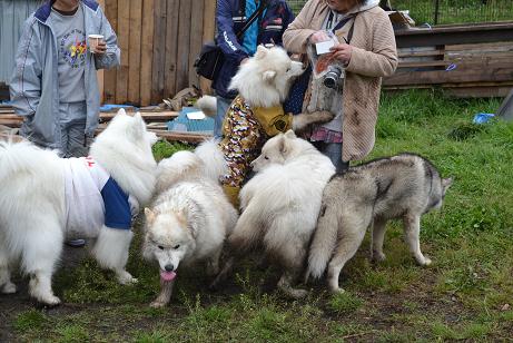 DSC_0714.jpg