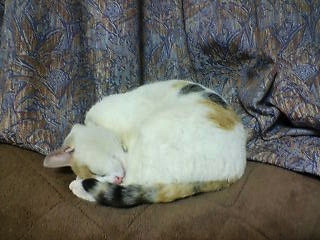 20120331221002.jpg