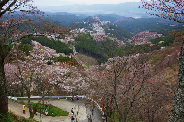 吉野山 上千本道