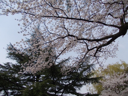 20120403 042