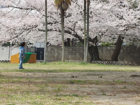 20120403 047