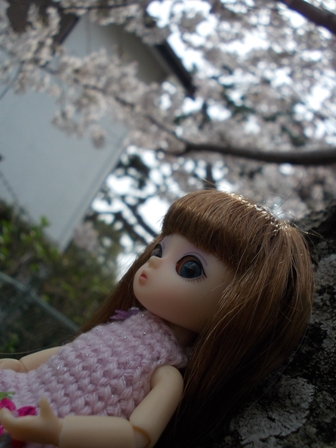 20120403 041
