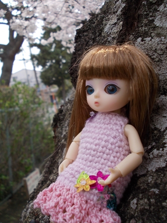 20120403 040