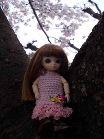 20120403 038