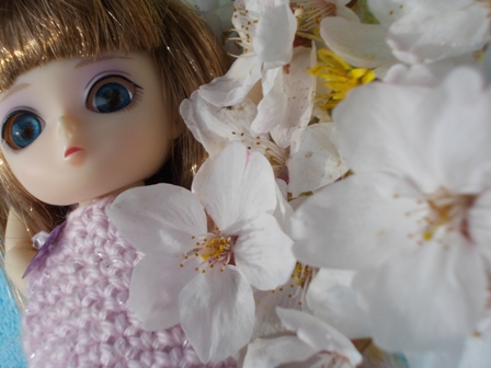 20120403 063