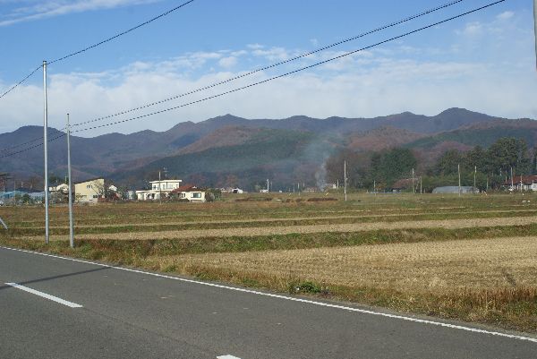 DSC08545.jpg