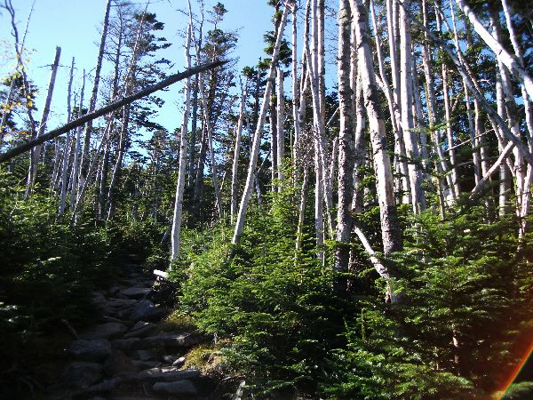 DSCF9178.jpg