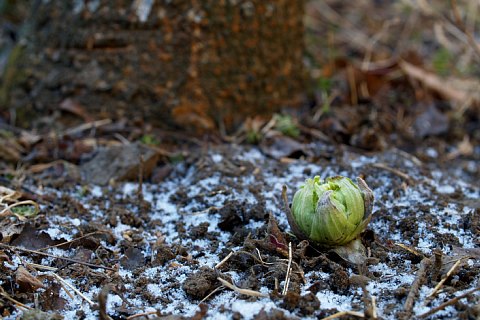 0218-1.jpg