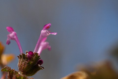 0224-4.jpg