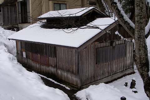 0228-3.jpg