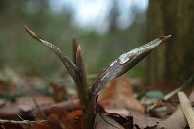 0324-6.jpg