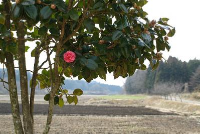 0403-4.jpg