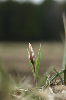 0403-6.jpg