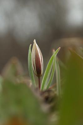 0403-7.jpg