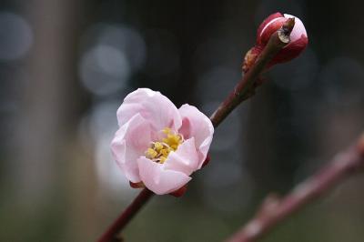 0404-2.jpg