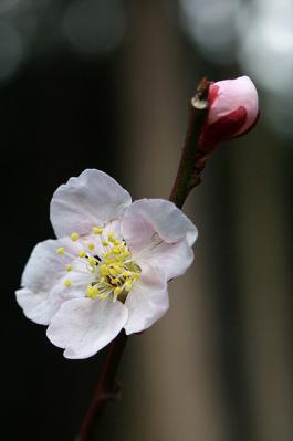 0404-3.jpg