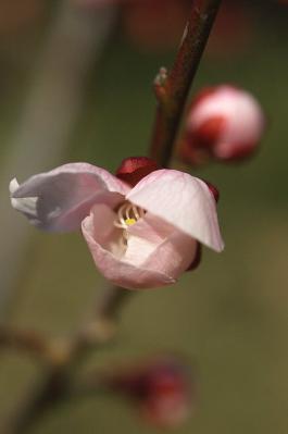 0404-6.jpg