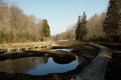 0405-3.jpg