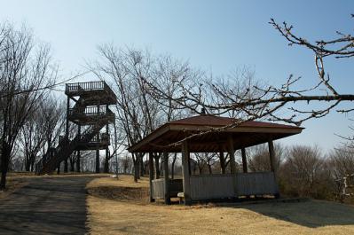 0405-5.jpg