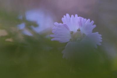 0408-10.jpg
