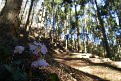 0408-2.jpg