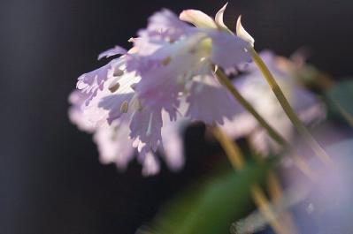 0408-5.jpg