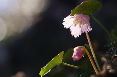 0408-9.jpg