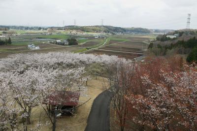 0417-5.jpg
