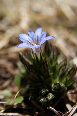 0502-8.jpg