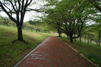 0506-2.jpg