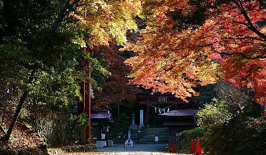 鷲子山