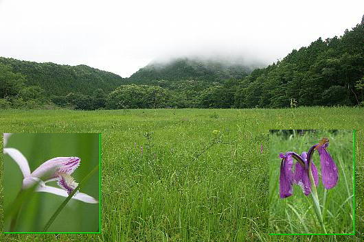 oonuma02.jpg