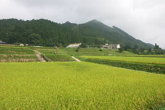 minosawa1.jpg